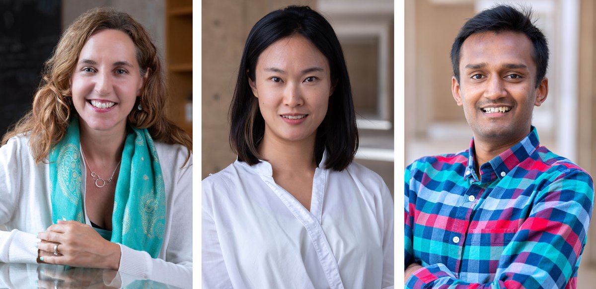 A <a href="/salkinstitute/">Salk Institute</a> team (<a href="/DanChenImmuno/">Dan Chen</a>, <a href="/Tcellogic/">Kaechlab (Sue Kaech)</a>, <a href="/karthik_varanas/">Karthik</a>) &amp; colleagues found CTLA-4 blockade induces CD4+ #Tcell #IFNγ-driven microglial phagocytosis &amp; anti-tumor function in #glioblastoma.

📘 In <a href="/ImmunityCP/">Immunity</a>: bit.ly/47JAp5I 
📰 PR: bit.ly/3skORRc