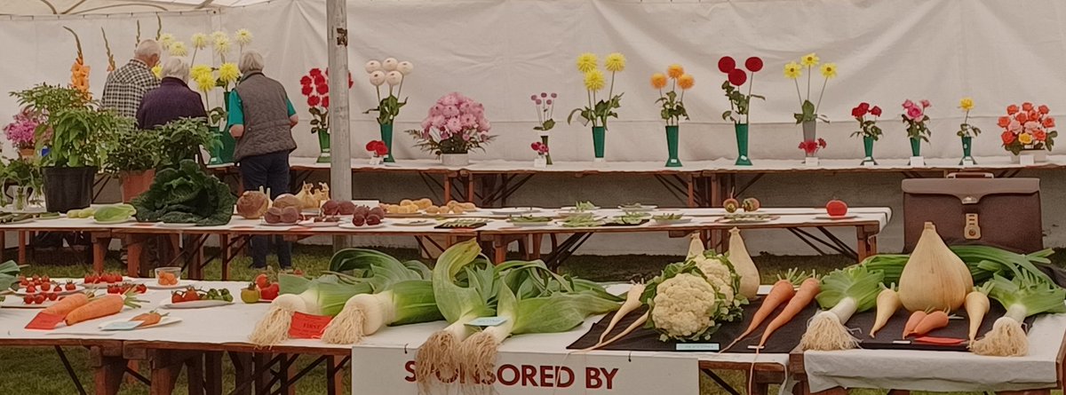 You can now see a selection of photos of Show day, the presentation of prizes, and a full list of results from Warkworth Show 2023 on our website warkworthshow.co.uk
