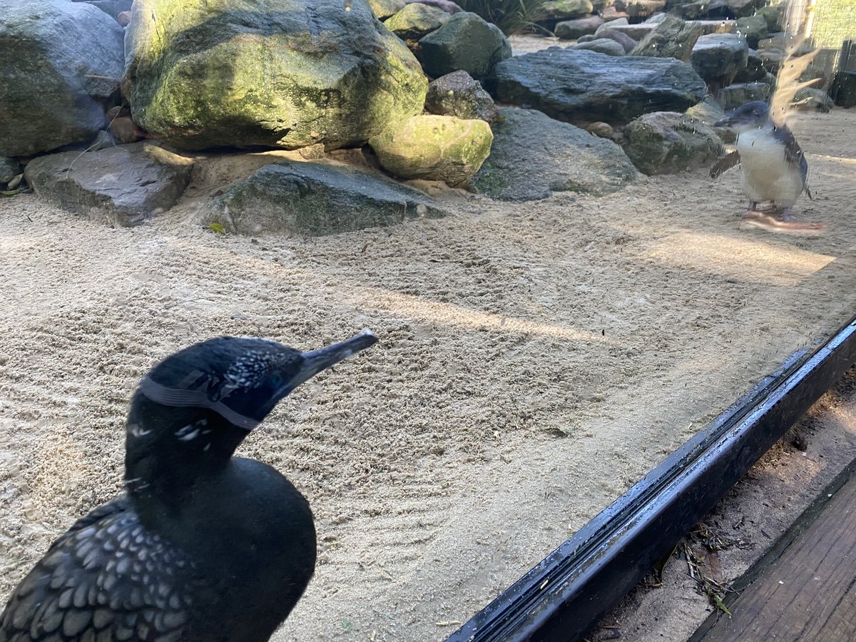 Secretaria de Patos del Tec tweet media