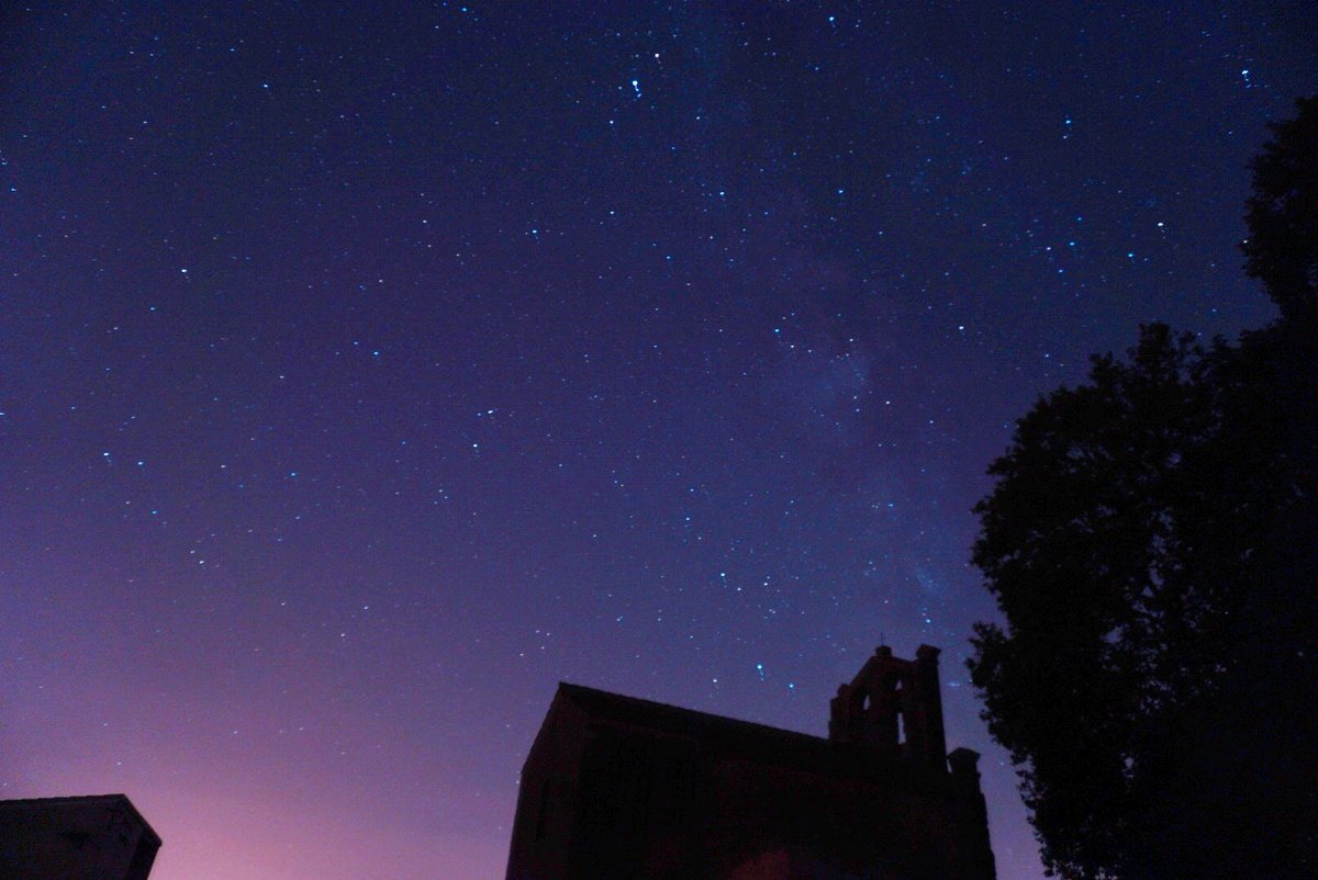 biscocho @MCM London tweet media