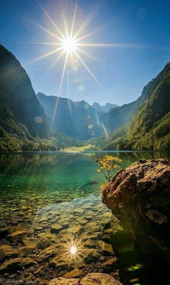 VieNatureSavoir's tweet photo. Good morning💙🍃☀️🍃💙 https://t.co/HJbyltVwEv