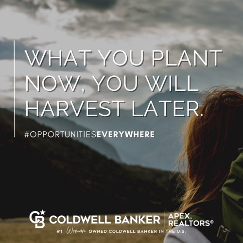 coachcoryc's tweet photo. Plant something today!
#MindsetMonday #ApexAdvantage #CoachCainTheRealtor https://t.co/L6rb4LoYbv