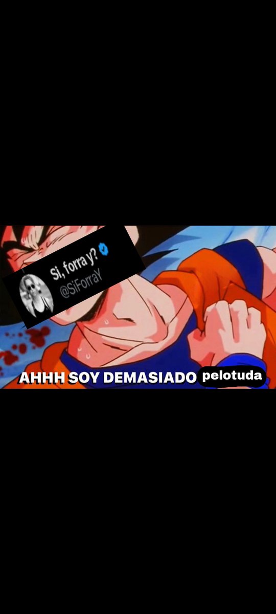 MILLO BICHOLOVER 🐔🇦🇷 tweet media