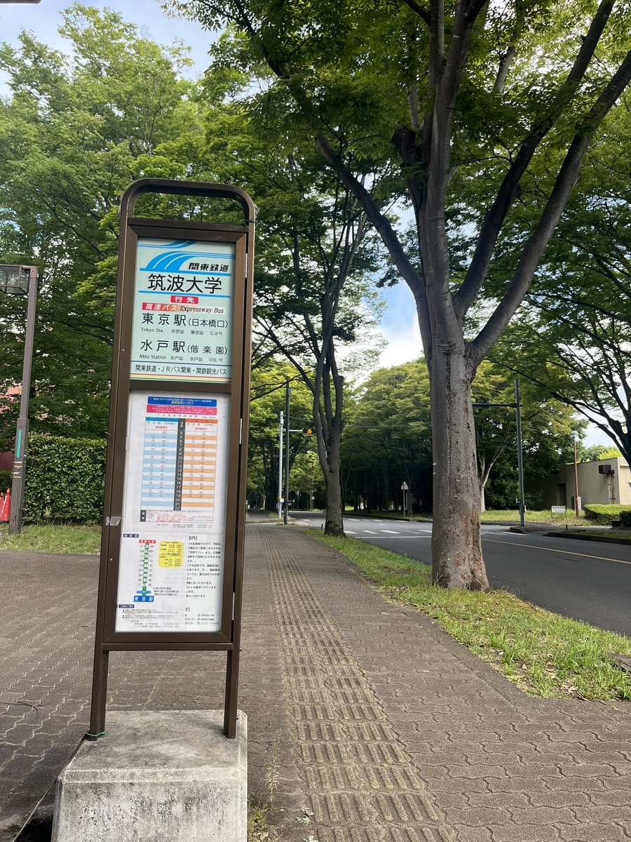 mistproject2023's tweet photo. 面積がとっても広いことで有名な筑波大学には、なんと！東京駅行きのバスが来るバス停もあるんです😳 他の公共交通機関よりも安く東京に行くことができる(はず)なのでおすすめですよ〜 コンセントが備わっているバスも多いところも便利ポイントのひとつです！ https://t.co/mGjjeN6KJl