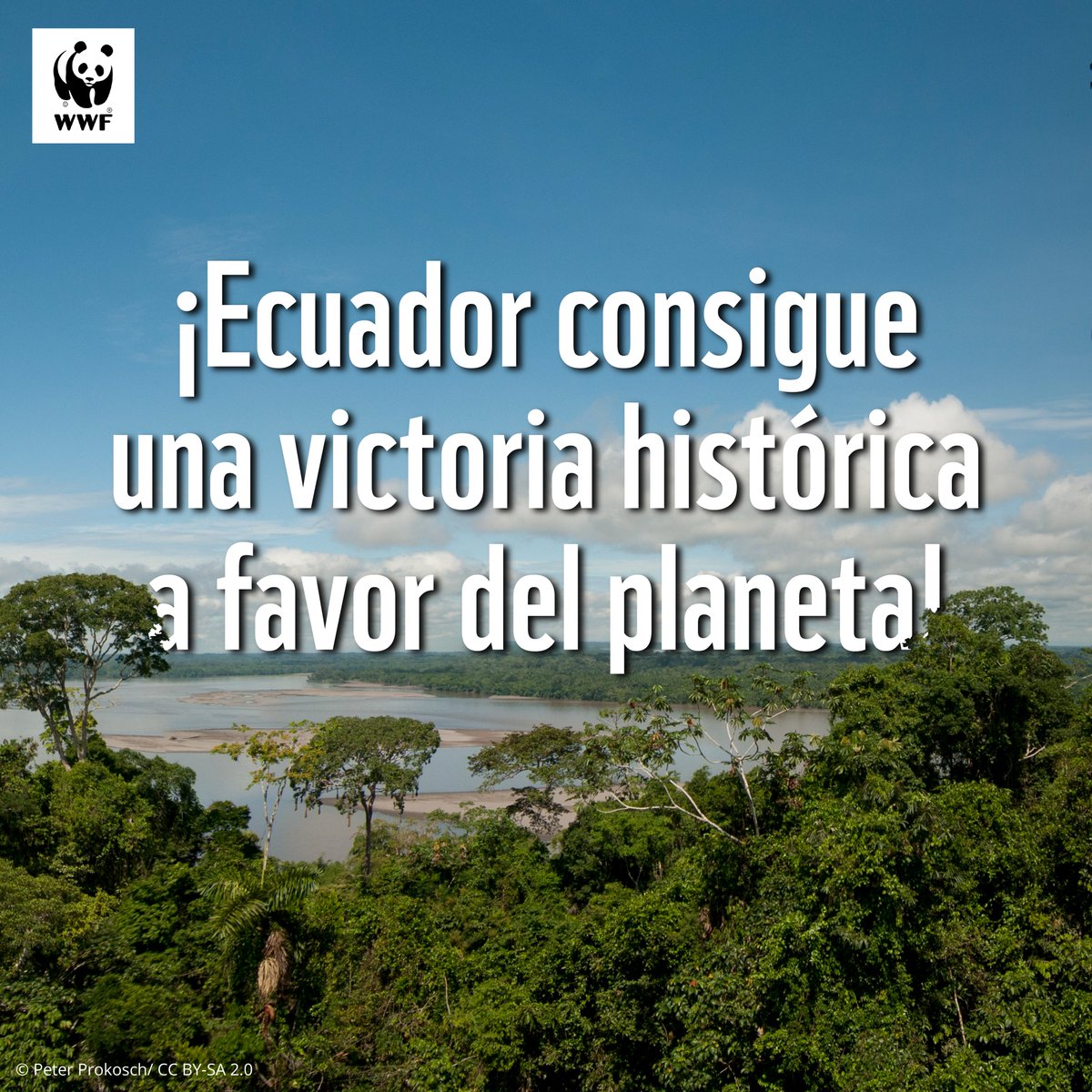 WWF Ecuador tweet media