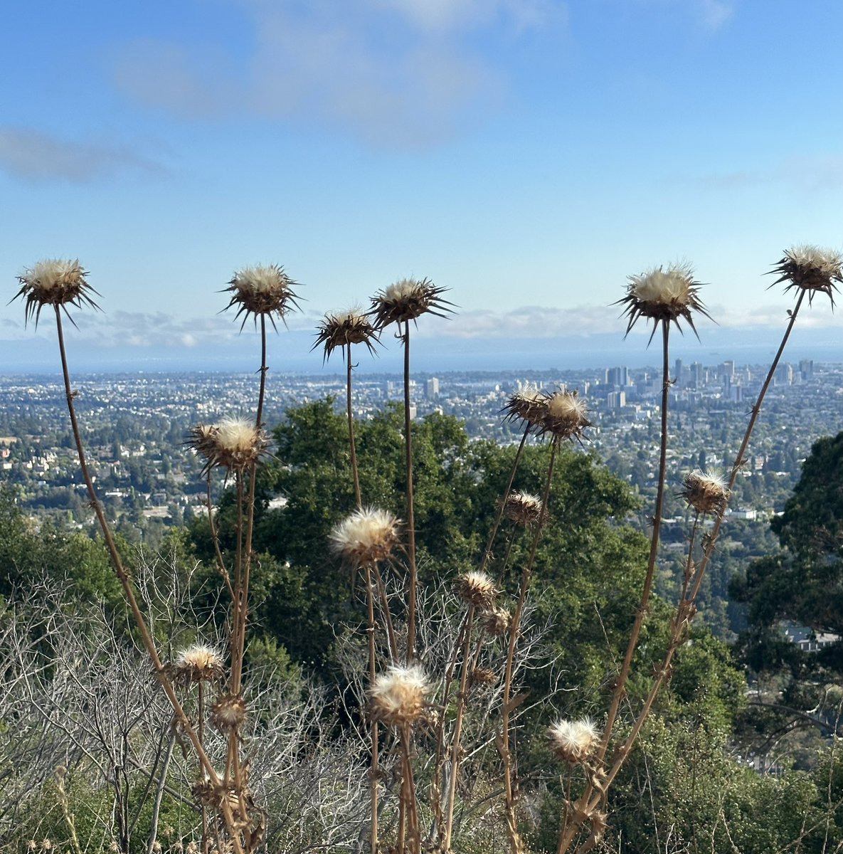 spaceBPM's tweet photo. I’ve been taking lots of nature walks &amp; having fun taking pics along the way 📸🍃 https://t.co/e9Gq6tUZvB