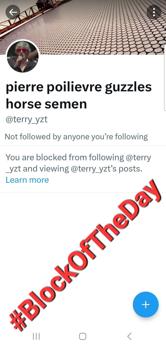 Fatso_Gonzalez's tweet photo. #BlockOfTheDay goes to @terry_yzt. Terrance the third testicle likes to chirp, but doesn't like to be chirped at. Now that you have time Terrance, wash your carrots well if you know what I mean. https://t.co/xUBFYLf25h