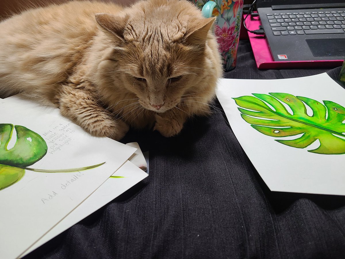 PaintRinse's tweet photo. Office helper to the rescue!  🤦‍♀️🐈 🤦‍♀️
#artcat https://t.co/Qe3SjsbW5K