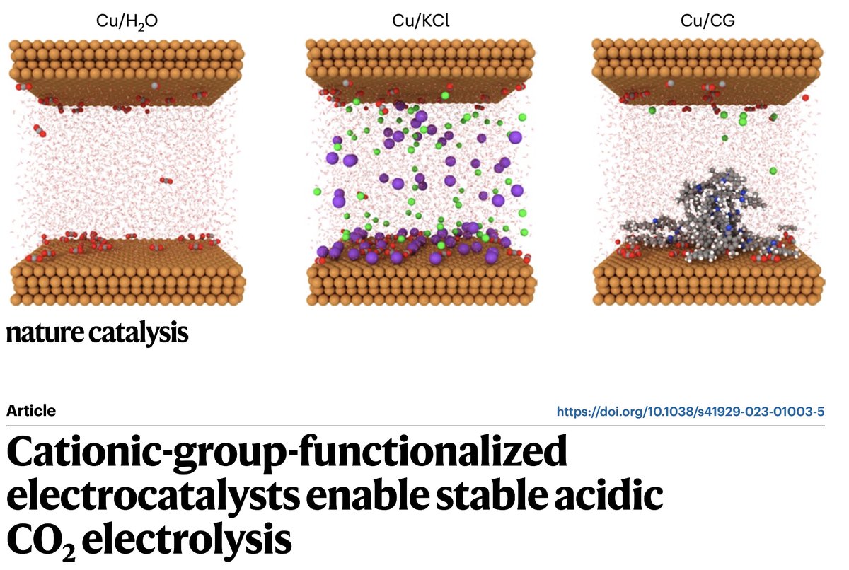 Congrats Mengyang Erick Ray Pengfei & colleagues on today's @NatureCatalysis on (carbonate-avoiding) acidic CO2 electroreduction to C2+ products - an immobilized cationic group replaces prior alkali cations. 150 hours operating stability in acidic CO2RR! bit.ly/47SfgpY