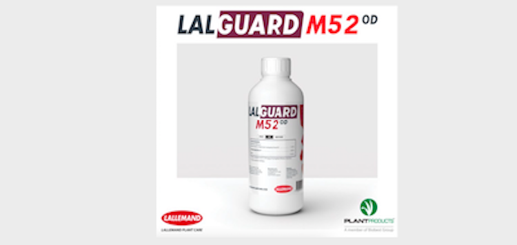 Lallemand Plant Care has reintroduced Lal Guard M52 OD bioinsecticide  -- formerly Met52 -- to the Canadian greenhouse market. @LallemandPlant <a href="/ProductsPlant/">Plant Products</a>  #cropprotection
thegrower.org/news/new-broad…