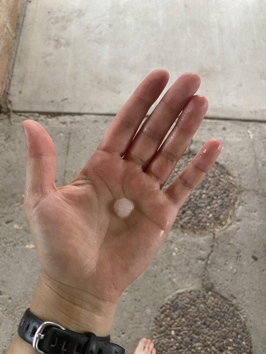 BadCompost's tweet photo. Mostly small hail but a few big ones coming down on the westside 😳 @whatsuptucson @NWSTucson https://t.co/sMPGrBuA4s