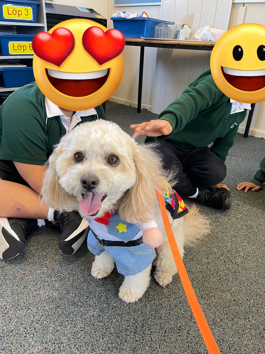 Therapuppy1's tweet photo. Looks like there is a new sheriff in town!  The pups LOVE to dress up and show off for Book Week #BookWeek #Peanut #schooldog #dogsofeducation #dogsofDoE #therapydog #lovewhatwedo https://t.co/MwRHiEEcrC