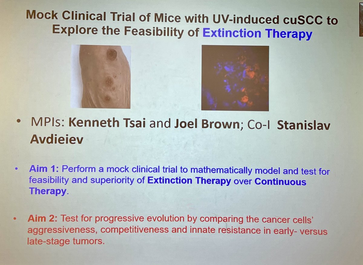 Sandy Anderson (@ara_anderson) on Twitter photo Todays <a href="/EvolTherapy/">Centre for Evolutionary Therapy</a> seminar was a double act led by our very own Joel Brown <a href="/Sciurusniger/">Joel Brown</a> and Ken Tsai <a href="/KYTsaiLab/">Kenneth Y. Tsai</a> presenting an update on a pilot project funded through the CoE: A UV-induced skin cancer mouse model for testing evolutionary therapies. <a href="/mathonco/">IMO</a> <a href="/MoffittNews/">Moffitt Cancer Center</a> Todays <a href="/EvolTherapy/">Centre for Evolutionary Therapy</a> seminar was a double act led by our very own Joel Brown <a href="/Sciurusniger/">Joel Brown</a> and Ken Tsai <a href="/KYTsaiLab/">Kenneth Y. Tsai</a> presenting an update on a pilot project funded through the CoE: A UV-induced skin cancer mouse model for testing evolutionary therapies. <a href="/mathonco/">IMO</a> <a href="/MoffittNews/">Moffitt Cancer Center</a>
