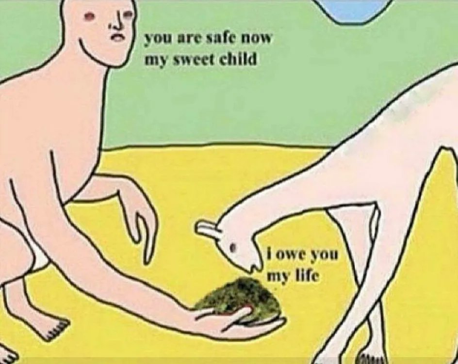 Weed Porn tweet media