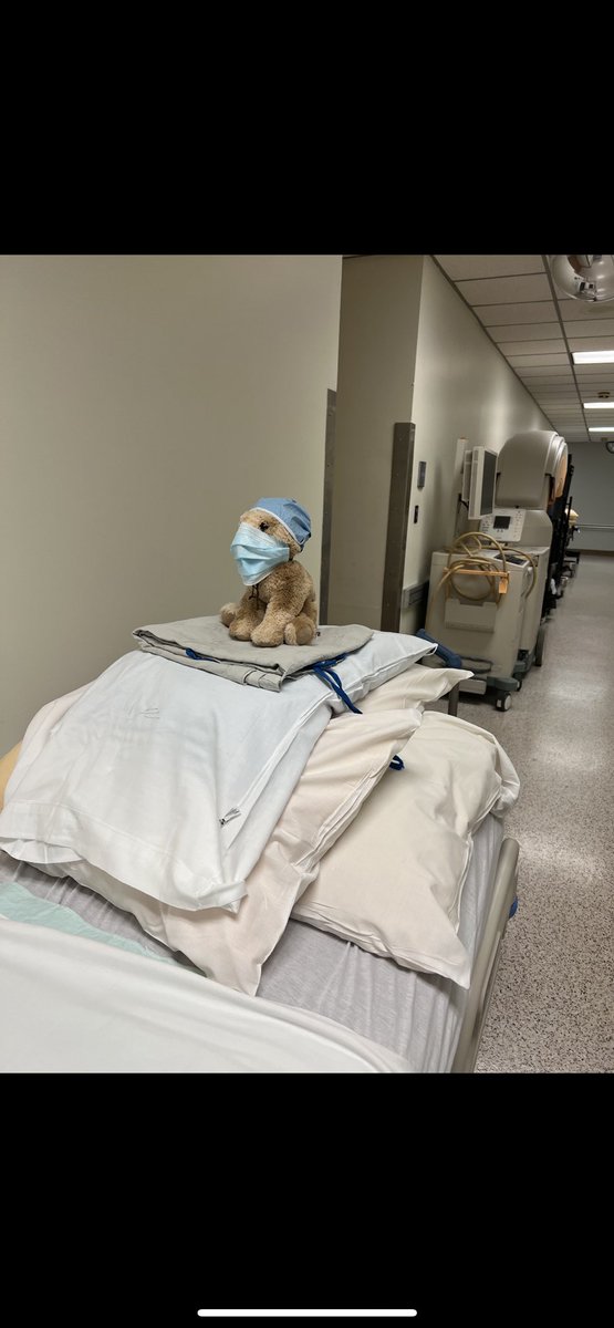 here’s a small piece of joy today - yes this is the cutest thing ever