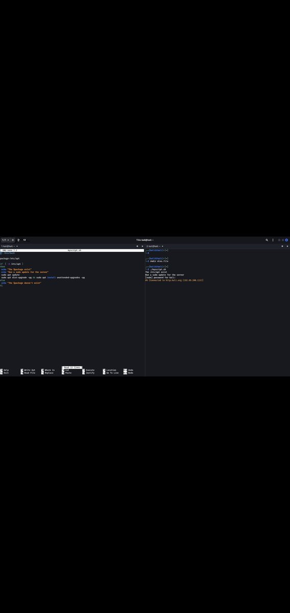 alex_abiolaa's tweet image. #bash #bashscripting #linux #linuxsystemadministration
Find a mean of updating my kali linux without pressing lotta of commands.
Cheers 🍻