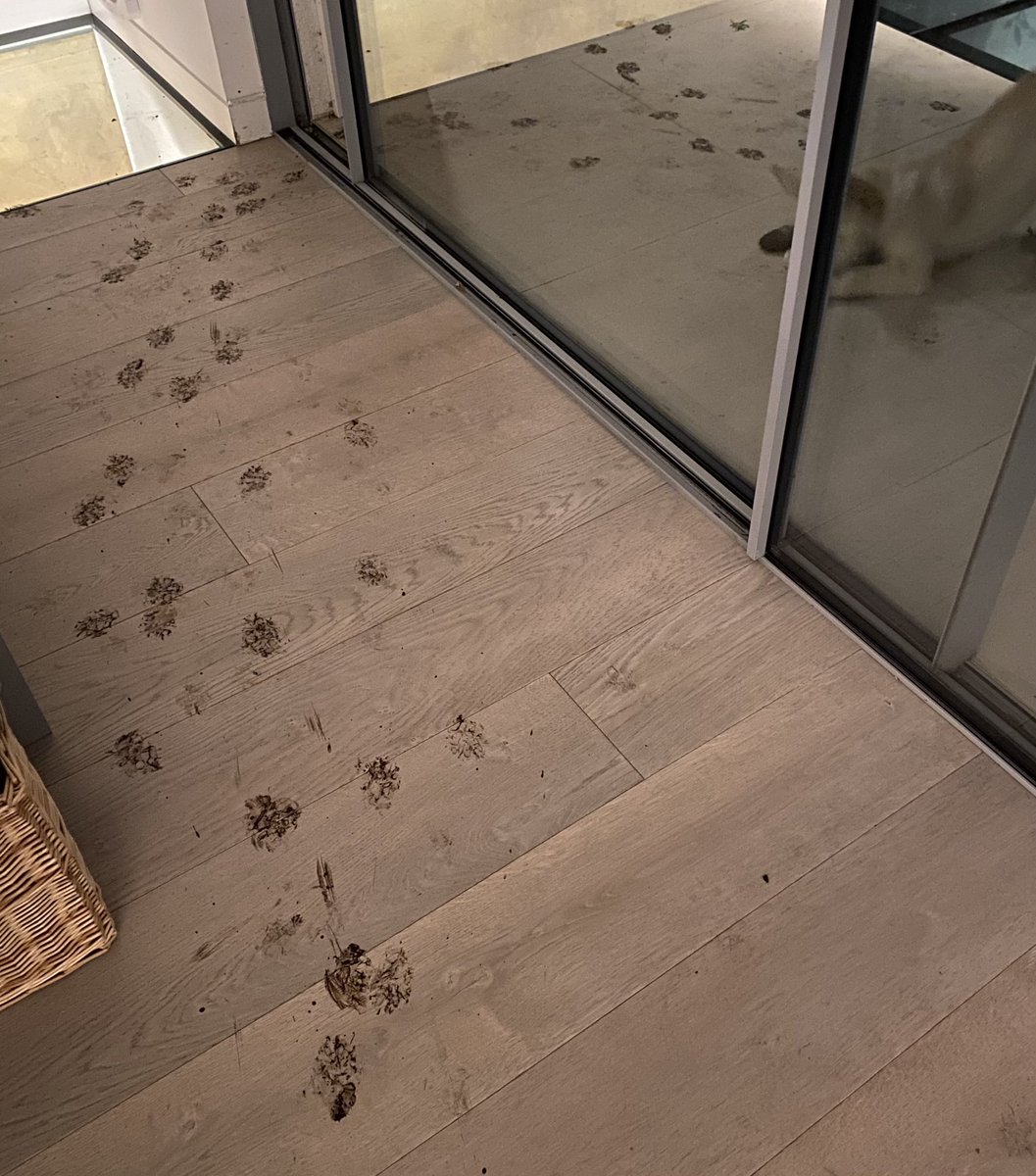 Dara Ó Briain tweet media