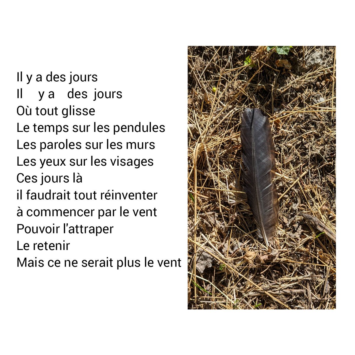 Laisser glisser
Réinventer

#ombres #poesie #poeme