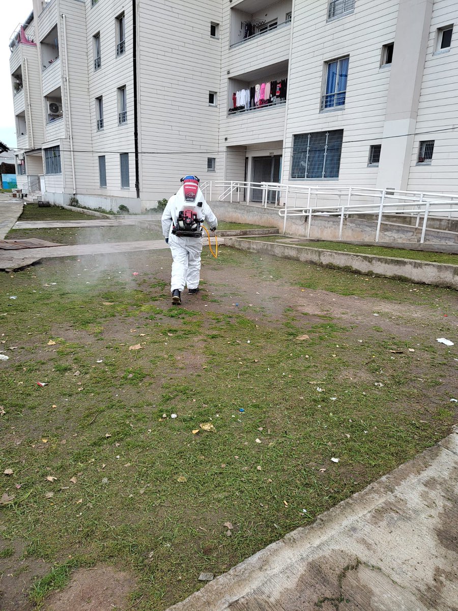 HectorN03153374's tweet photo. #DGGIS
Hoy con la cuadrilla de #Saneamiento  en #Barrio21,24  sector  Mundo grua  realizó corte de pasto, fumigación manual y móvil e Hidrolavado desinfeccion 
@mrgospedini 
@MariaMigliore 
@Salas_Gabriel 
@Christianwerle1 https://t.co/4N1144zmRQ