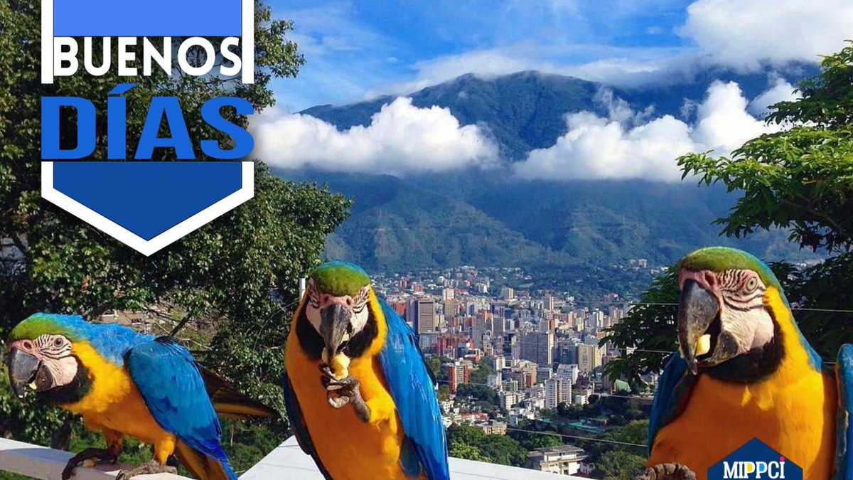 #22Ago | 🇻🇪 ¡Buenos Días!☀️ 
Nuestra tierra venezolana es una tierra bendita que nos provee de todas bondades y riquezas que necesitamos para salir adelante.
¡Feliz Martes!
