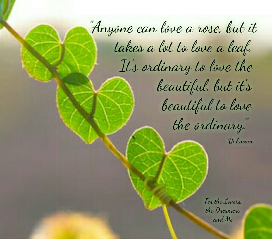 Anyone can love a rose, but it takes a lot to love a leaf. It's ordinary to love the beautiful, but it's beautiful to love the ordinary. - Unknown Author ~ #WiseWords