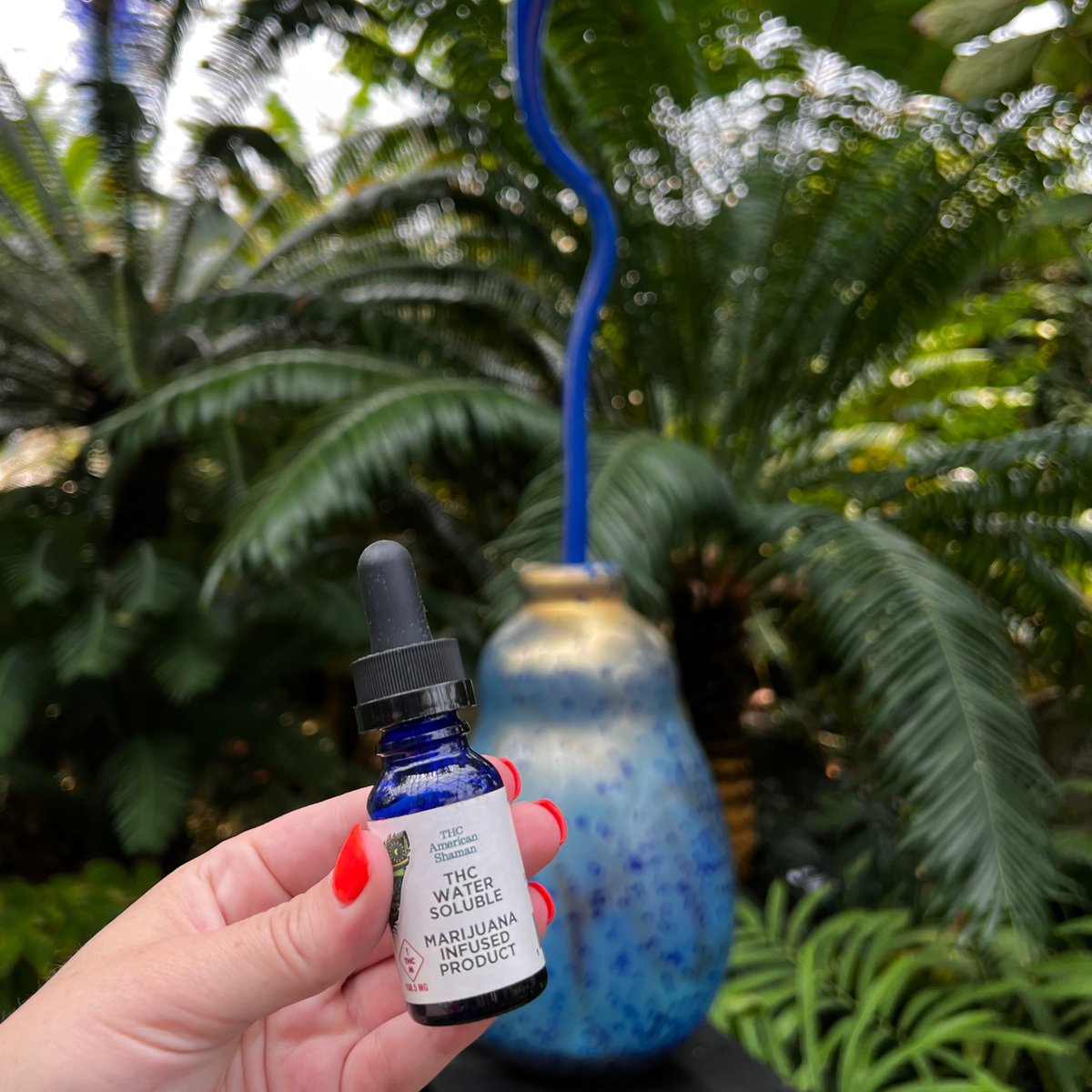 THCAmericanSh's tweet photo. Ready for a taste of excitement? 🌊💥 

Which water-soluble will you dive into: 150mgs OR 600mgs? 

#KC #Missouribrand https://t.co/KTlPN0ygCB