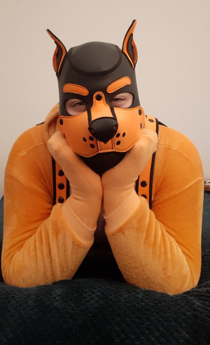 Cur1ousCub tweet media