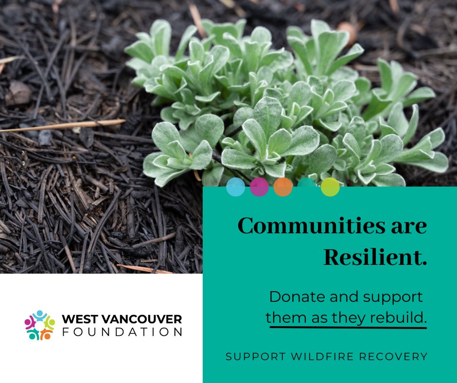 There are many charities providing assistance to the communities impacted by wildfires right now. 

Donate to support them:
Kelowna: buff.ly/3KOXXMo
South Okanagan: buff.ly/3E3b6Oc
shuswapfoundation.ca
BC SPCA: shorturl.at/koFU7
redcross.ca