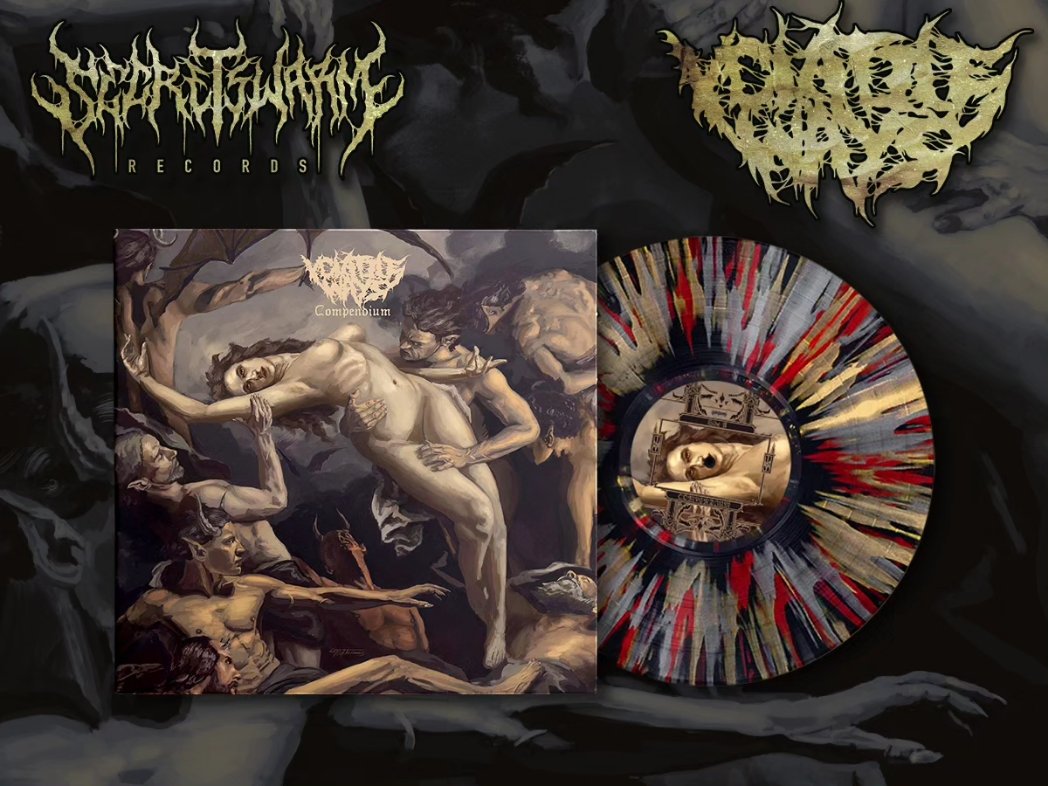 volatileways_'s tweet photo. Compendium LP is on sale now from Secret Swarm Records along with a new shirt pre-order + full streaming on all platforms 🐝 

This is a USA based store that ships worldwide. Australia we will have a limited number of vinyl available once pressing is completed ✨️

Link in bio. https://t.co/U3dUPUhuaF