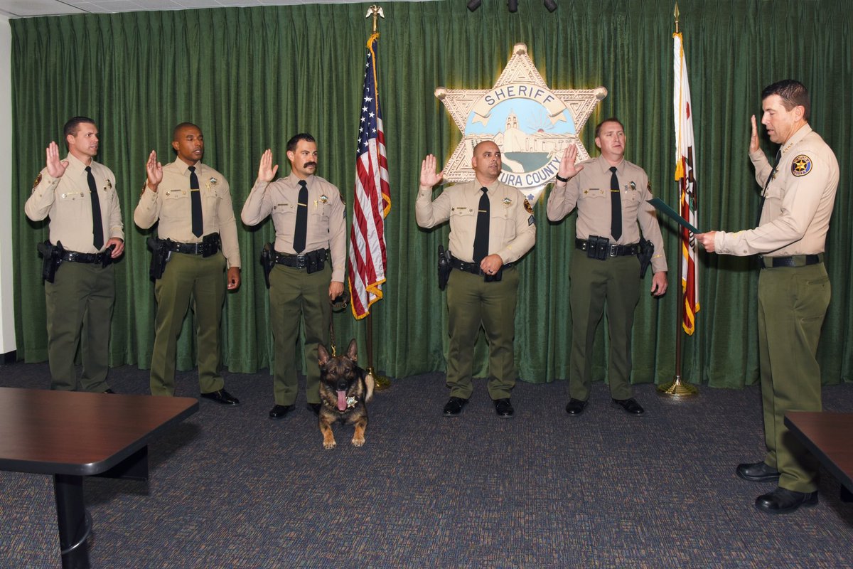 thousandoakspd's tweet image. Congratulations are in order! 👏🏼 🥳 

Deputy Campbell, Deputy Cashmark, and Deputy Fuchs were officially promoted to Senior Deputies! 🎉

We are so proud of them and wish them the best in their future endeavors 💫
