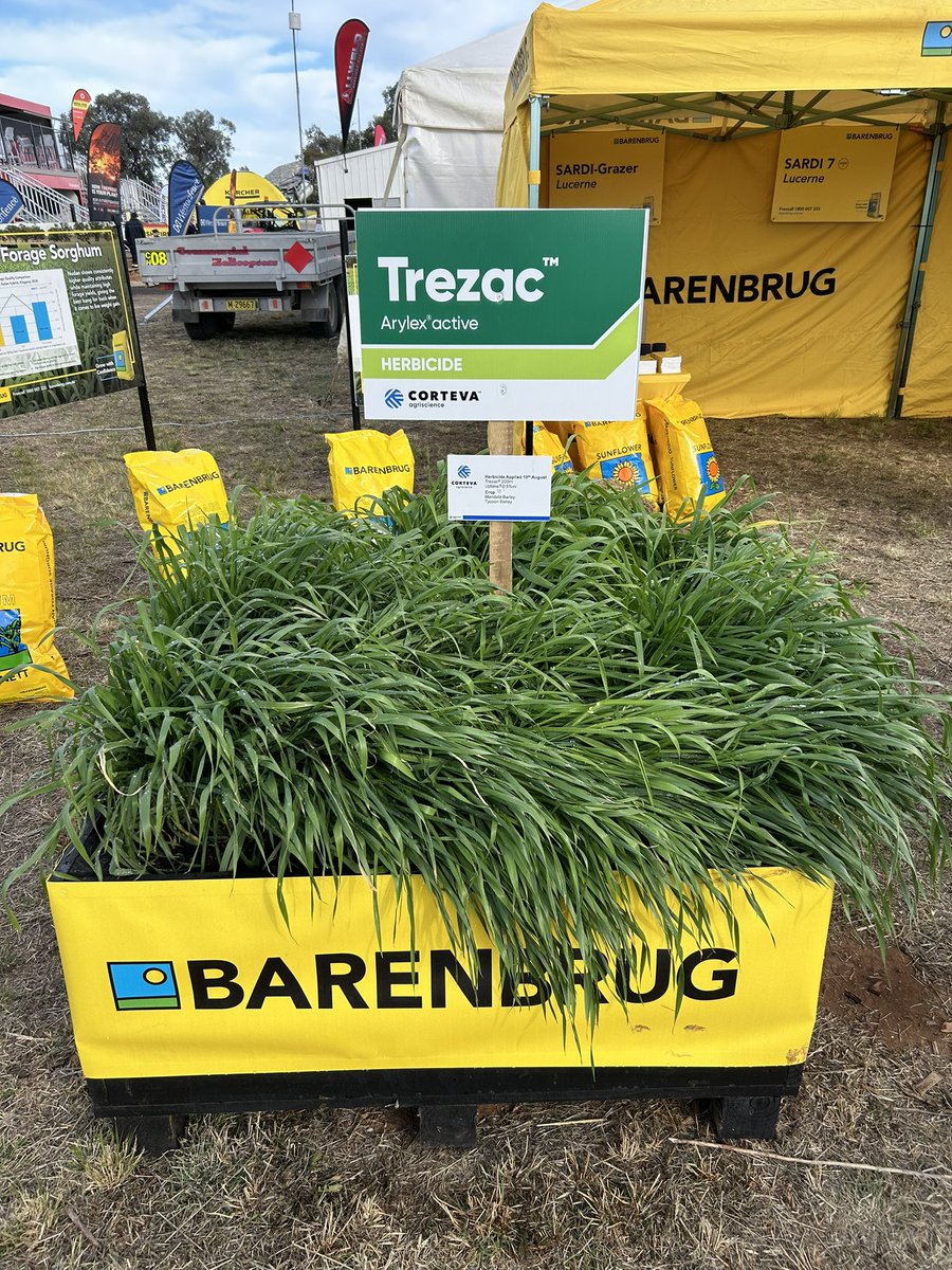 Marty Conroy tweet media