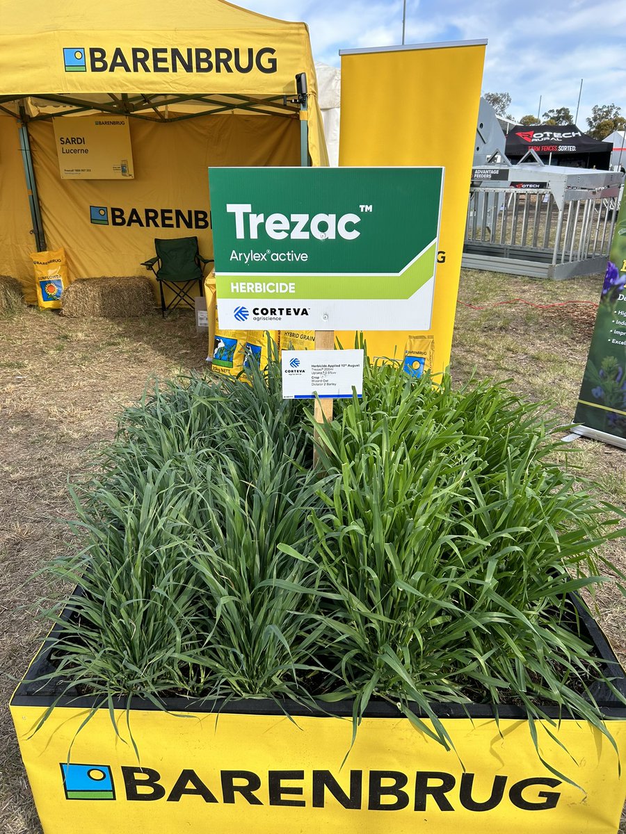 Marty Conroy tweet media