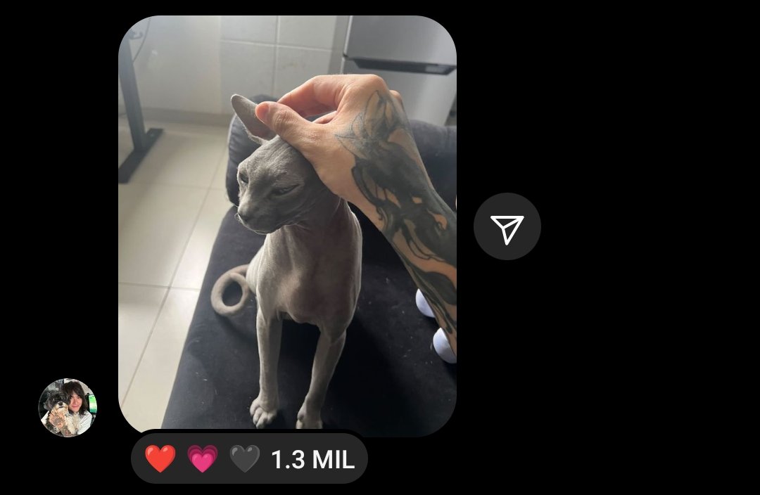 xdaayana's tweet photo. 😿🖤 https://t.co/6E9HF9ArPi