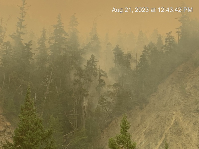 CaltransDist1's tweet photo. Mon. Aug. 21 update: #US199 remains closed in #DelNorteCounty from Myrtle Creek Bridge near Hiouchi to the Oregon border (PM 7.1-36.4) due to the #SmithRiverComplexFire. No estimated time of reopening. Latest info: https://t.co/faudYOtp7p.
📷: Fires burn near roadway around 1pm https://t.co/jNfgeH4KG2