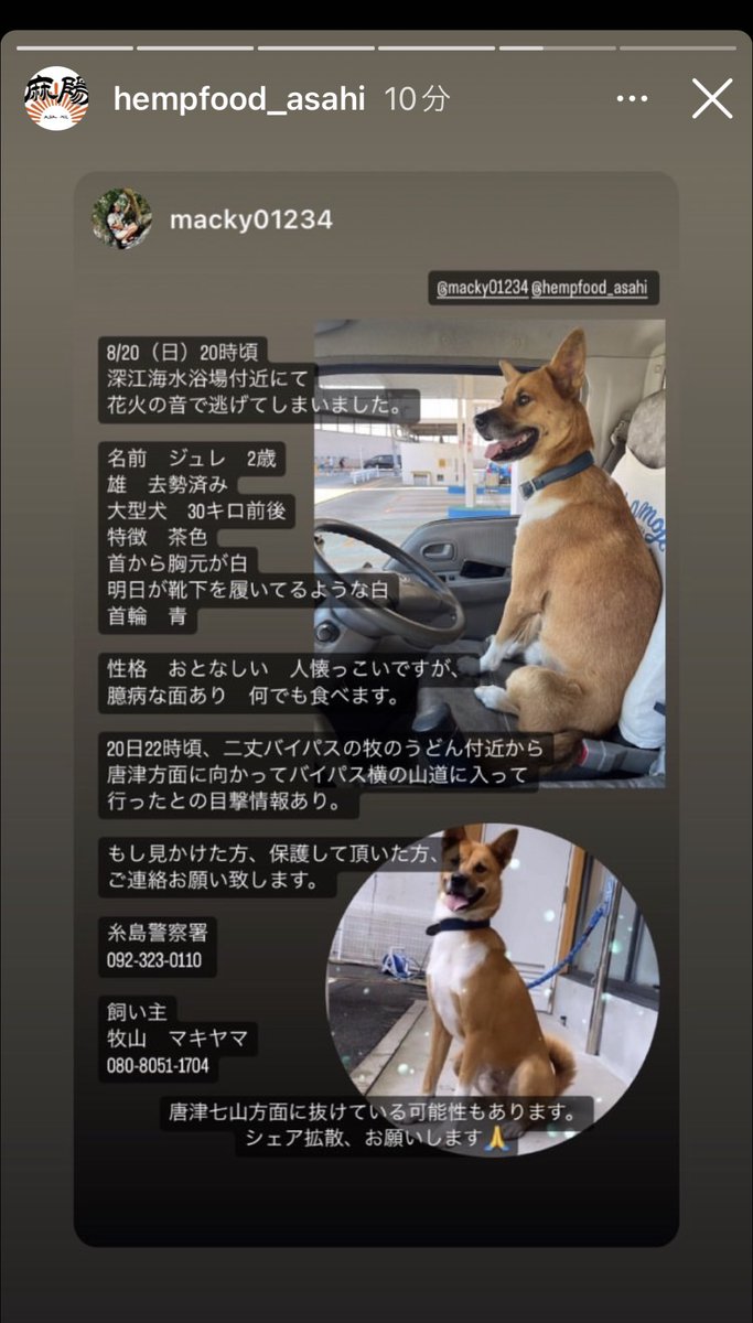 fuukasong's tweet photo. 私の大好きなキッチンカーの看板犬ジュレくんが昨日から行方不明になってしまいました。
福岡の糸島付近で捜索中です。
昨日の雨もありとても心配です。
早く見つかりますように🙏
どうか拡散お願いします🙇‍♀️
@The_Darenogare https://t.co/FdxYS6JVdT