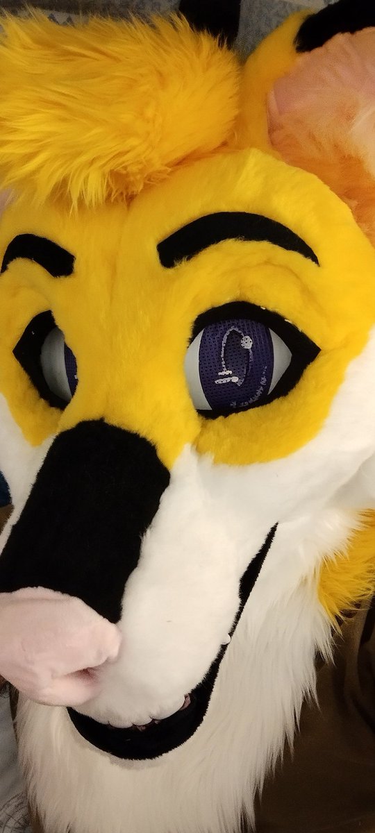 Baby_Approach's tweet image. It's perfect! @FureverWear