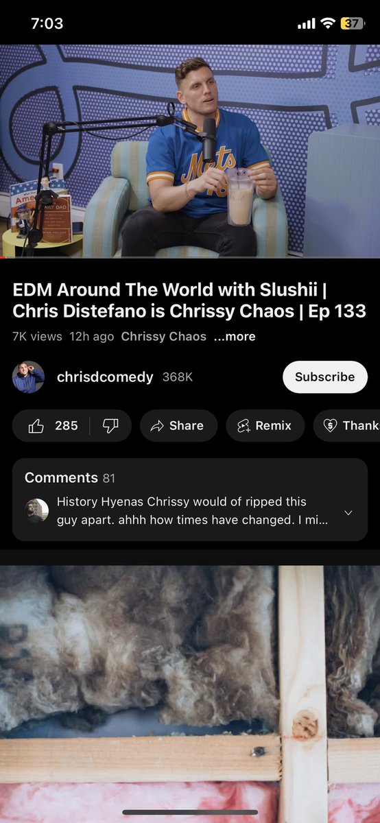 Dylan tweet media