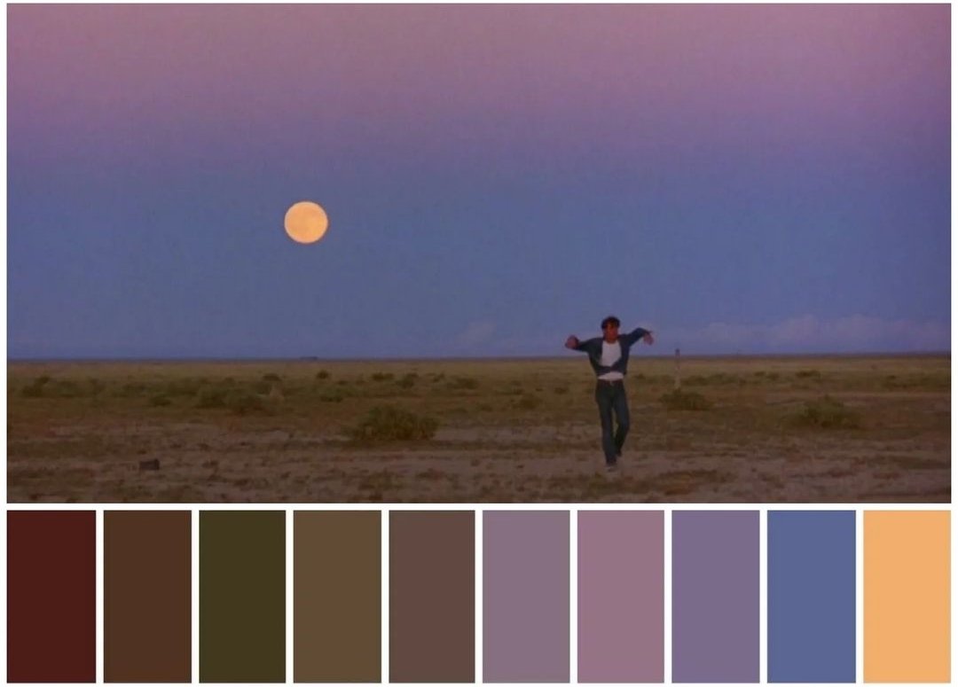 Badlands (1973) ■Director: Terrence Malick ■Cinematography: Tak Fujimoto, Steven Larnar, Brian Probyn ■Art Director: Jack Fisk ■Costume Design: Rosanna Norton