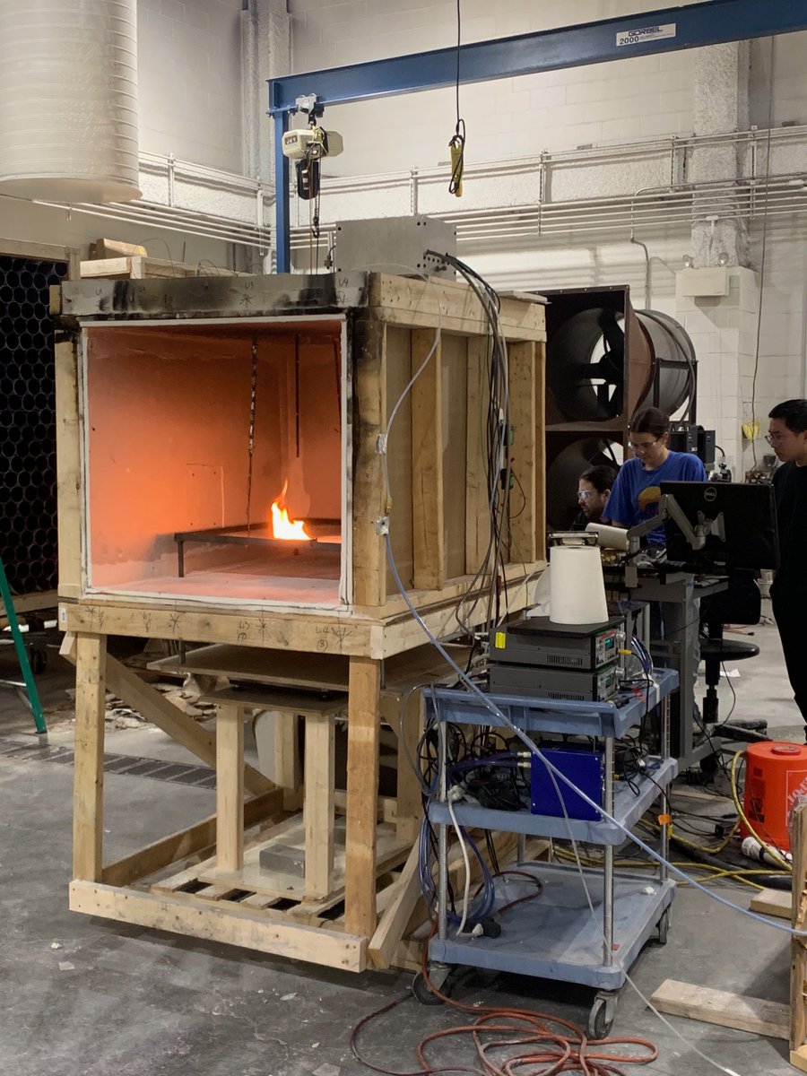 SpearrinLab tweet media