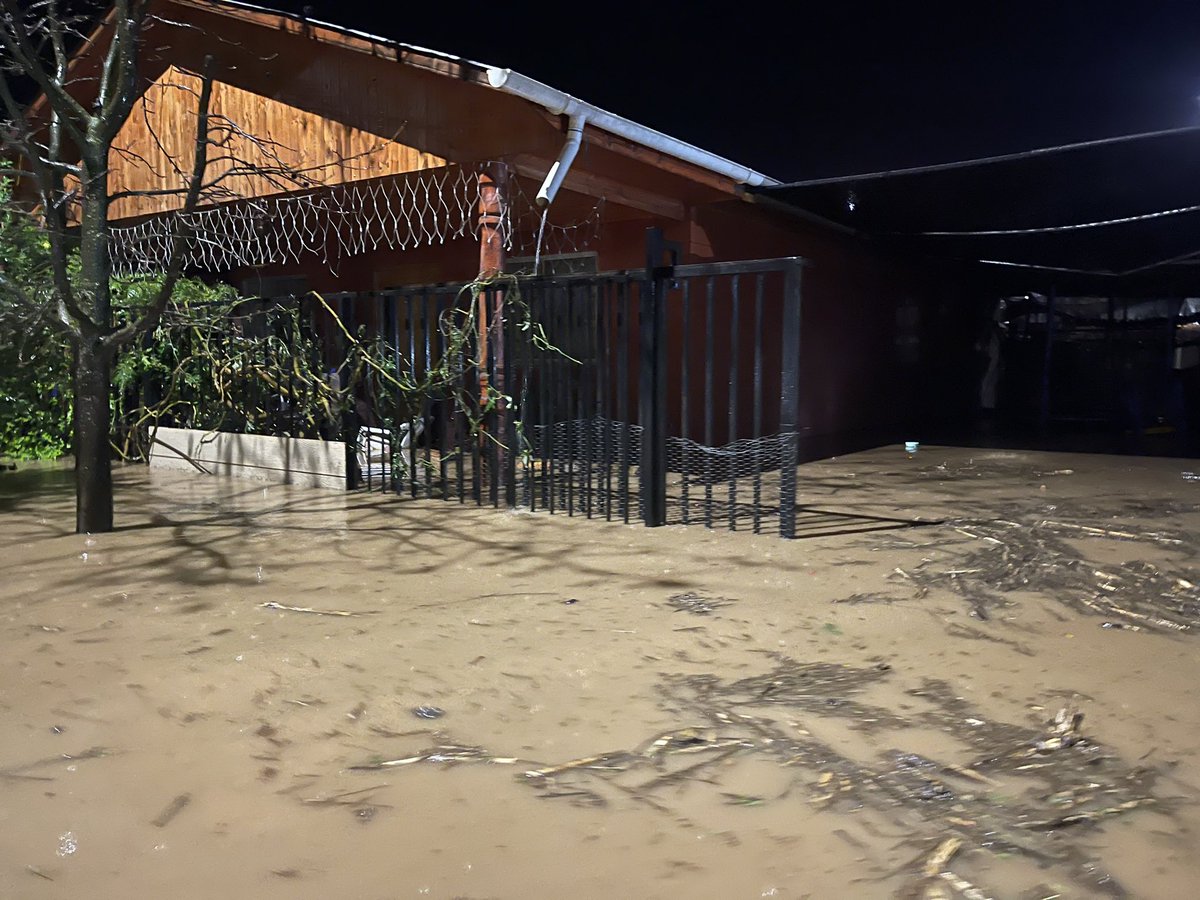 Juanpablosufan's tweet photo. URGENTE 🚨
Sector los #Maitenes en #SantaCruz viviendas completamente inundadas, personas evacuadas
#Alerta @meganoticiascl @TVNREDOHIGGINS @elrancaguino @biobio @Cooperativa https://t.co/QotMkvYgYz