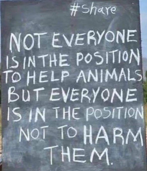 Angie KaranⓋ🌱 tweet media