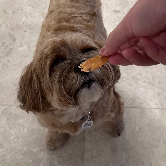 Clawd 🍌 🦍 tweet media