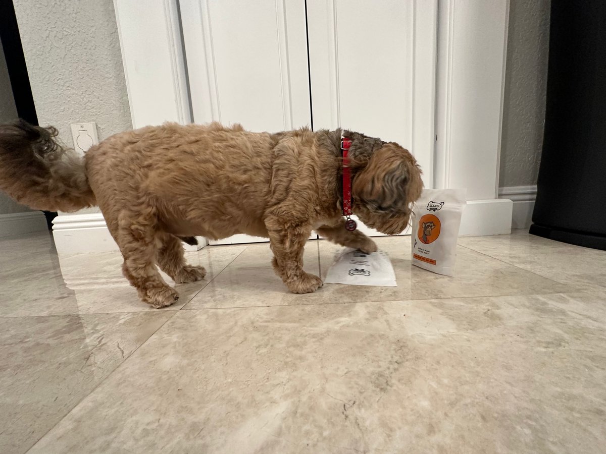 Clawd 🍌 🦍 tweet media