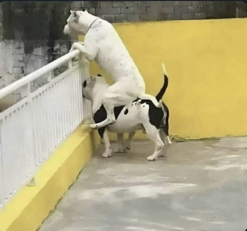 Ngọc Đến Rồi tweet media