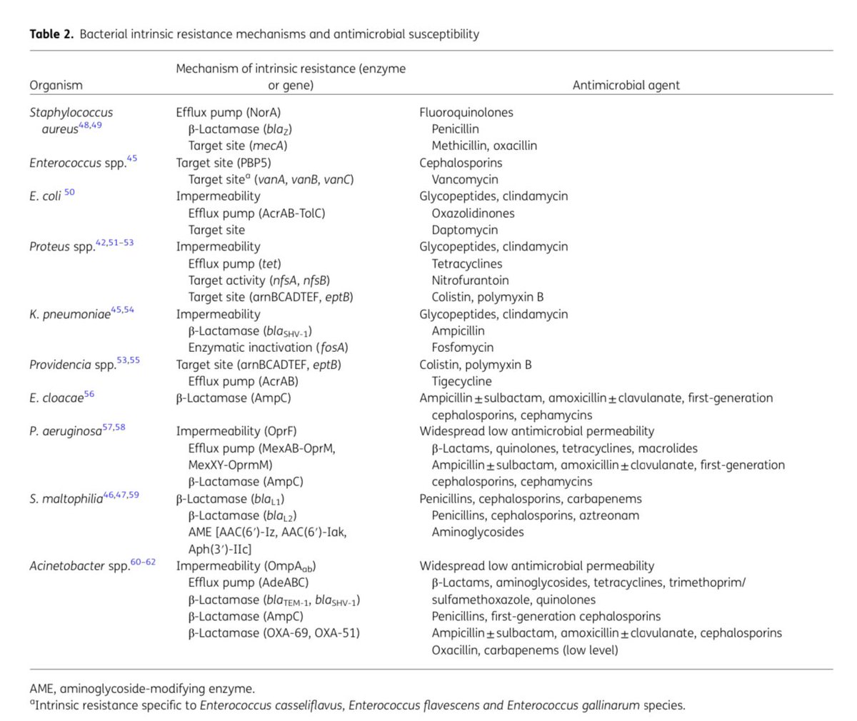 #IDTwitter Cheat sheet for intrinsic mech of resistance 📑 What’s your favorite step of #AMRrounds? Mine was always Step 4! Understand acquired resistance mech & interpretive antibiogram @zacroBID @JonathanRyderMD @drtimothyli @IDiots_pod @jendel0717 doi.org/10.1093/jacamr…