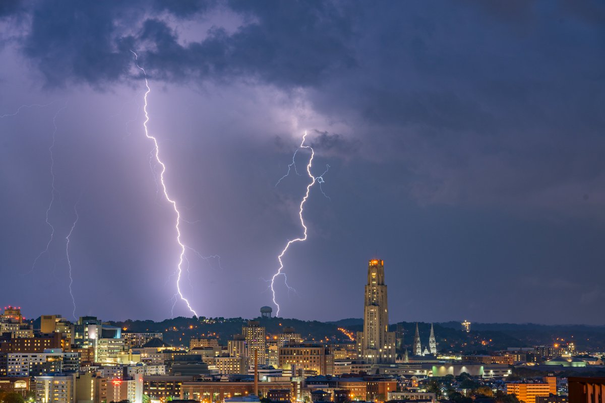 Dave DiCello tweet media