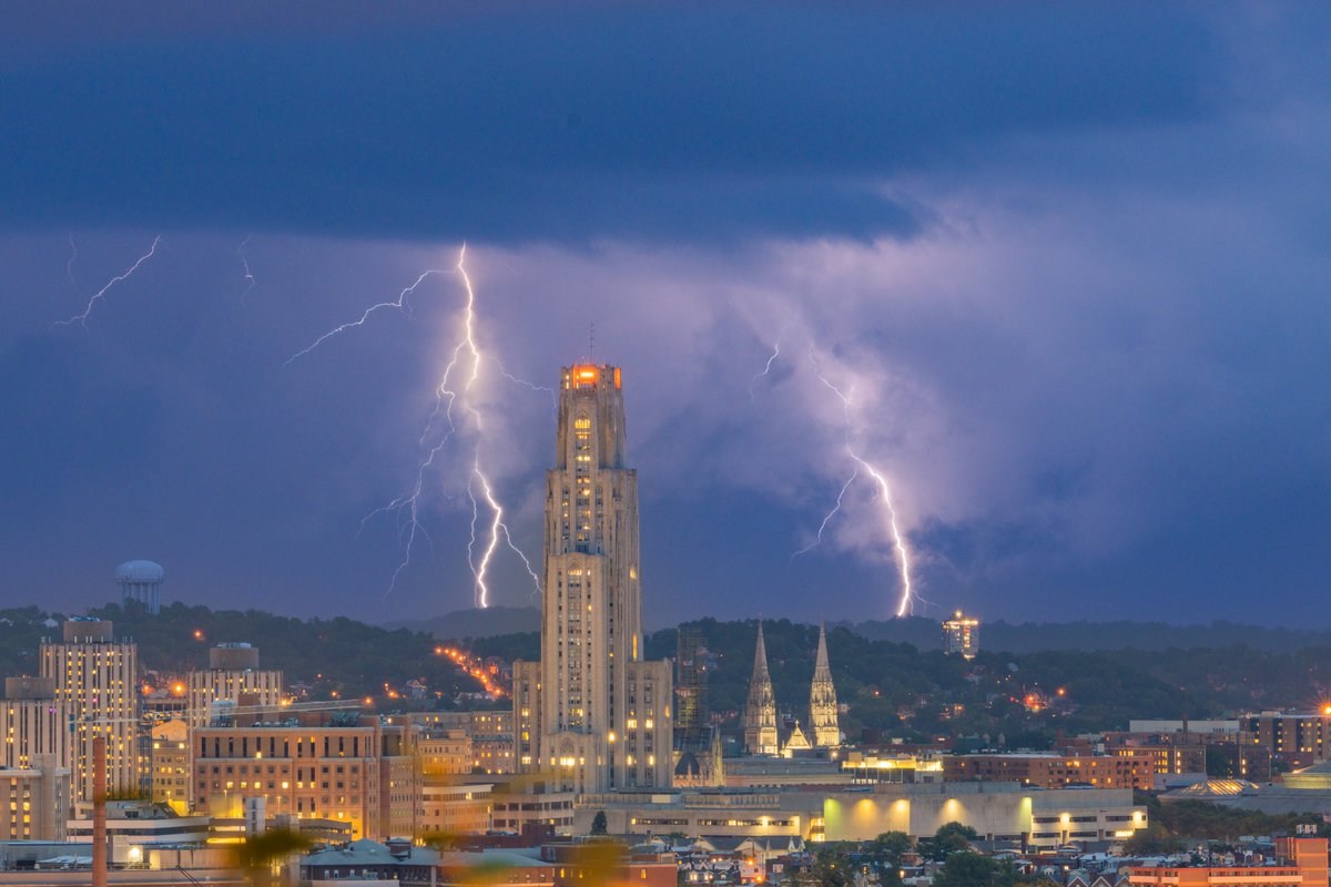 Dave DiCello tweet media