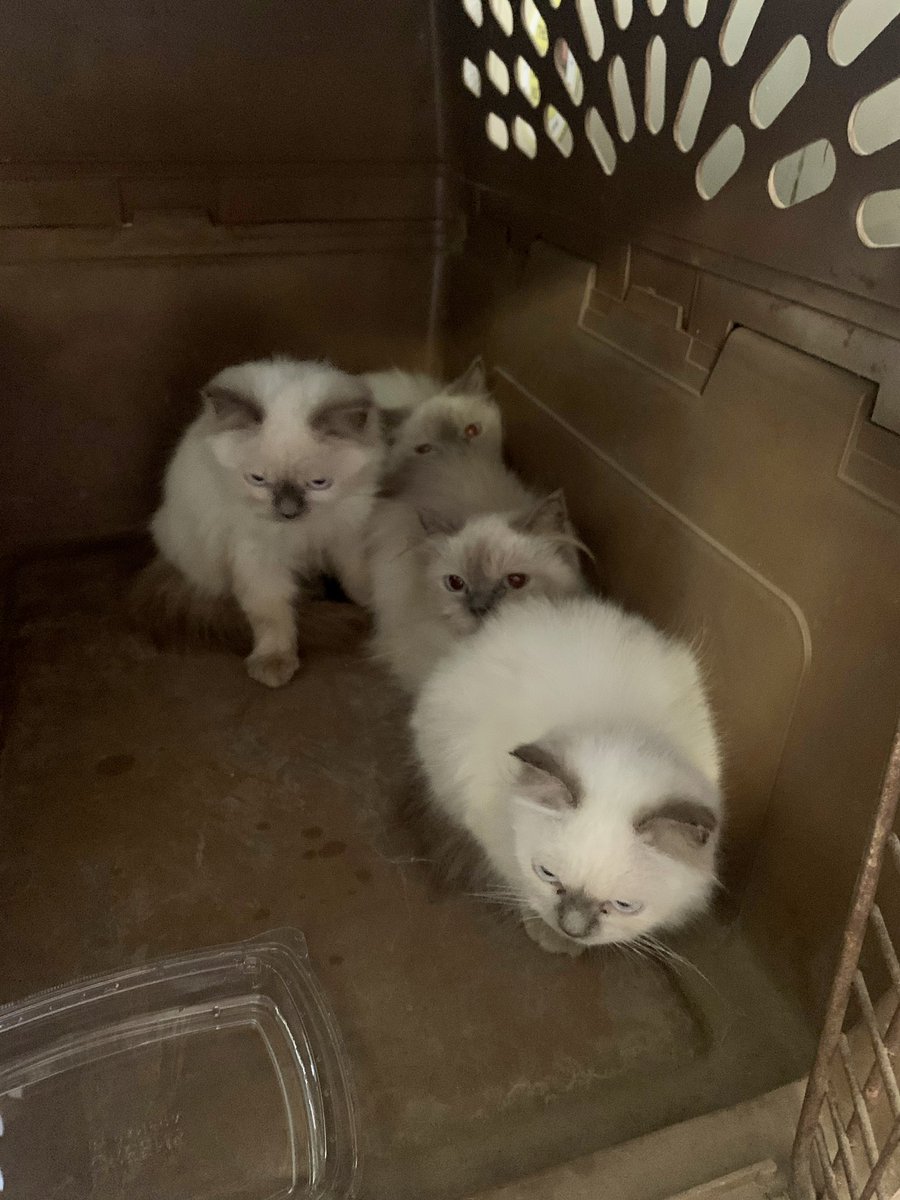 Park Police MC tweet media