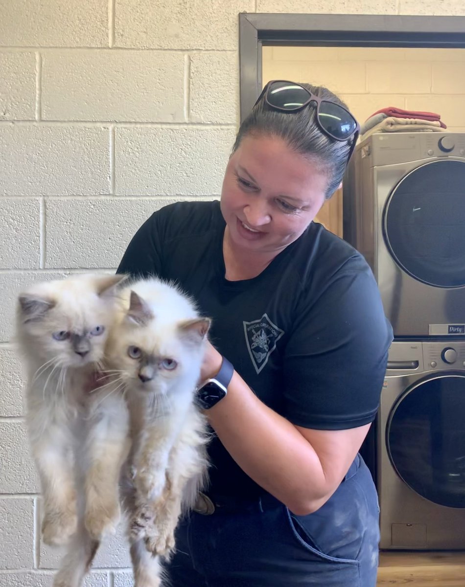 Park Police MC tweet media