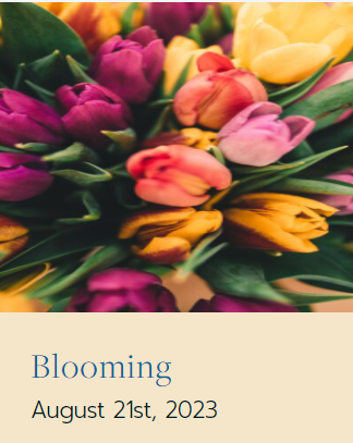 suzannegiesemann.com/blooming/